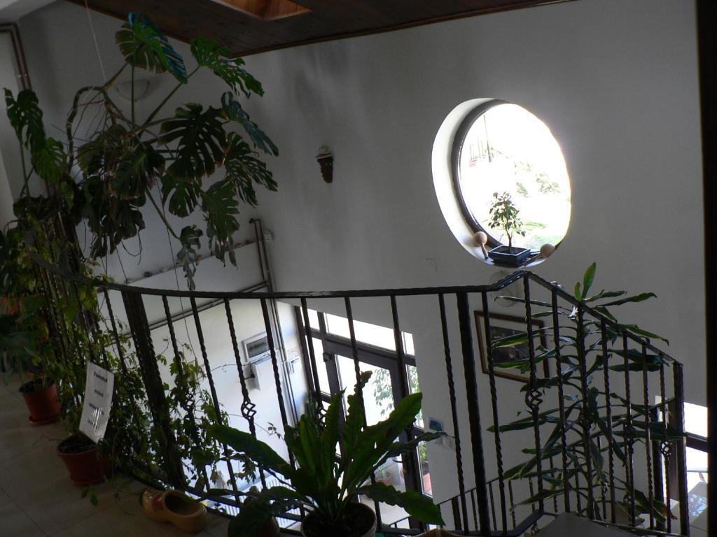Casa Havana (Adults Only) コスティネシュティ エクステリア 写真