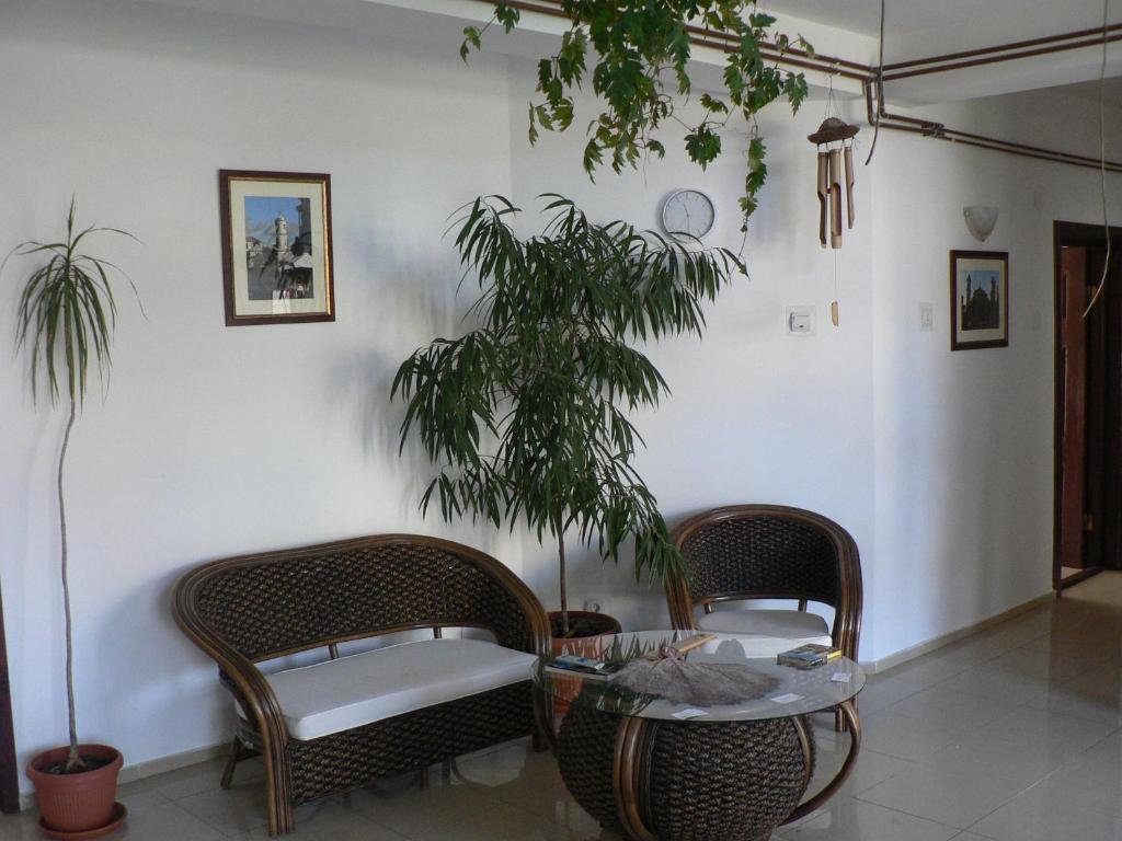 Casa Havana (Adults Only) コスティネシュティ エクステリア 写真