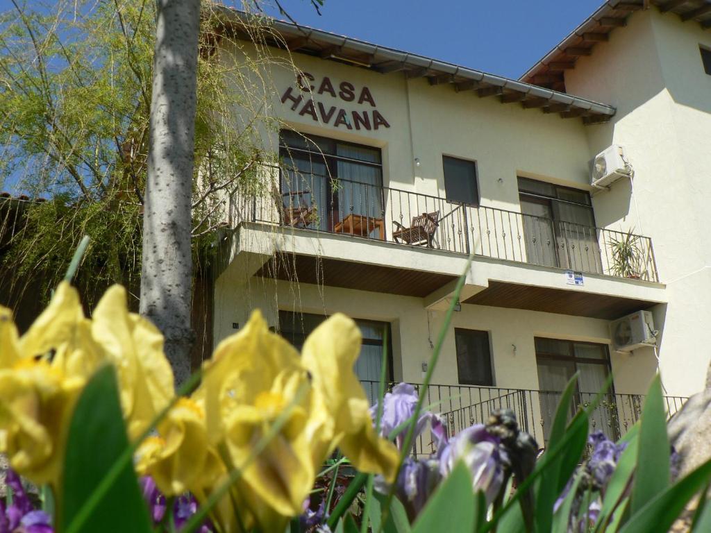 Casa Havana (Adults Only) コスティネシュティ エクステリア 写真