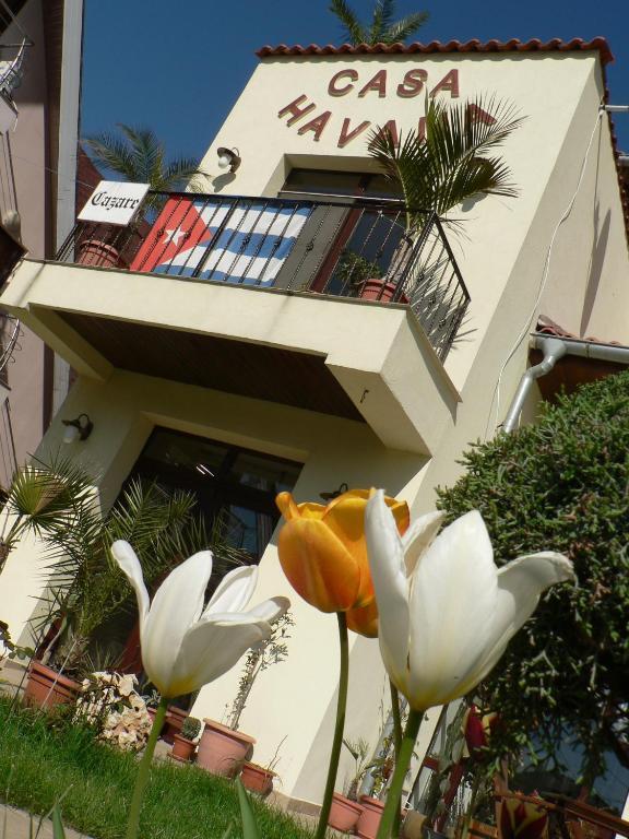 Casa Havana (Adults Only) コスティネシュティ エクステリア 写真
