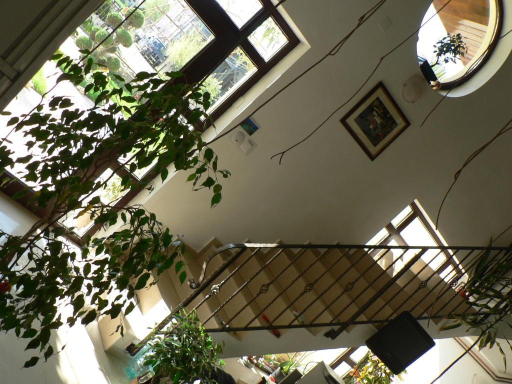 Casa Havana (Adults Only) コスティネシュティ エクステリア 写真
