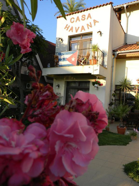 Casa Havana (Adults Only) コスティネシュティ エクステリア 写真