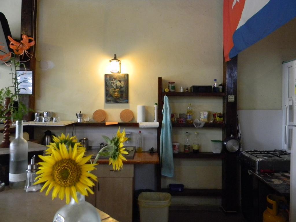 Casa Havana (Adults Only) コスティネシュティ エクステリア 写真